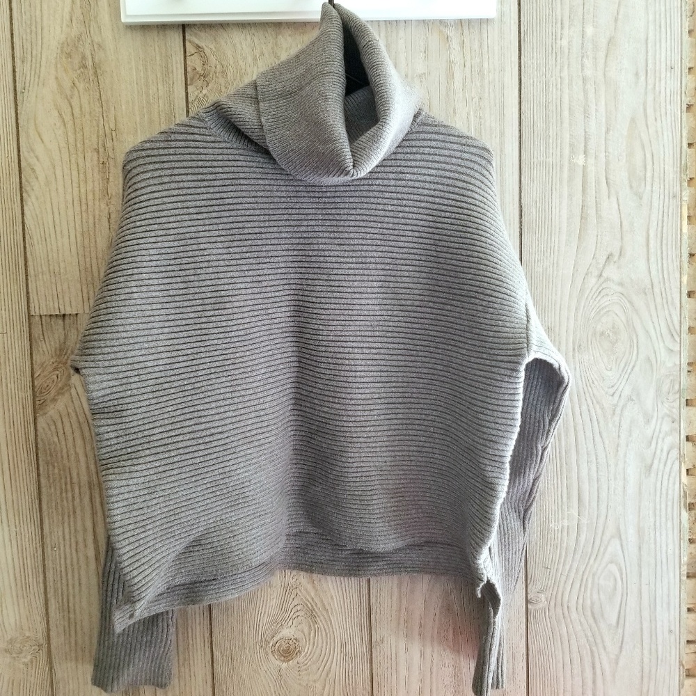 NWT Zara Knit Collection Turtleneck Sweater